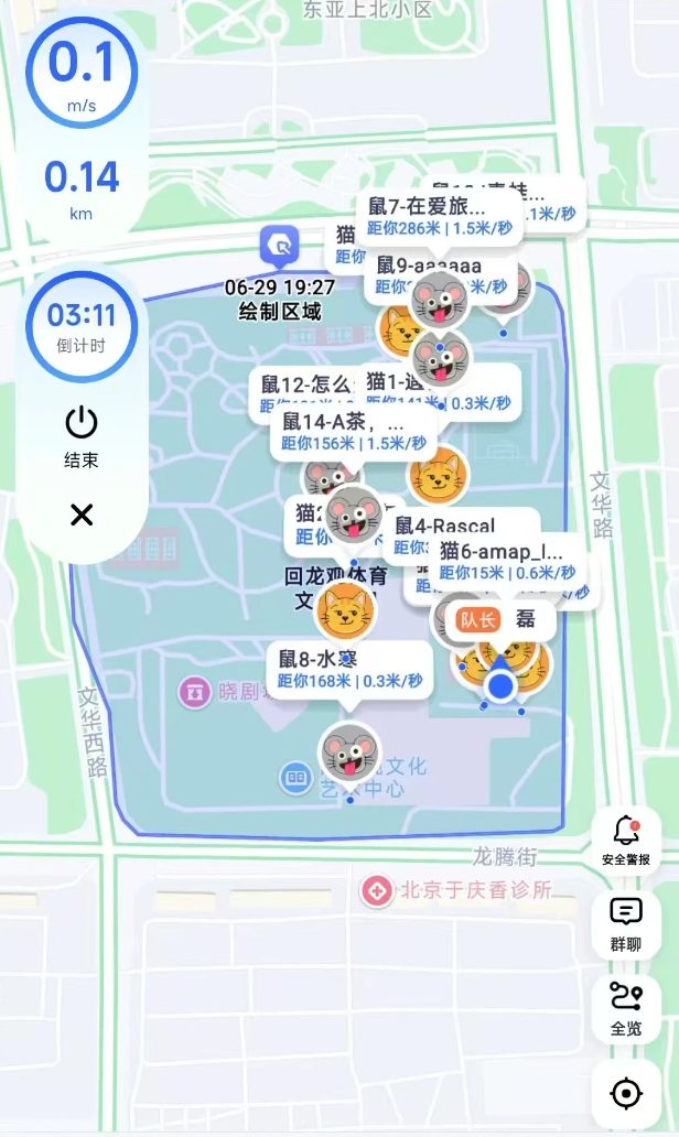猫抓老鼠活动照片2